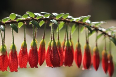 肇庆封开私人快速借钱网，轻松解决资金难题