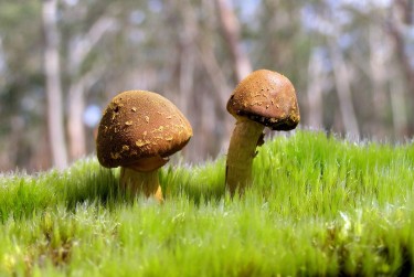 肇庆封开私人老板放款：轻松融资的秘密通道